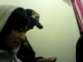 MOV00027 MOV00027