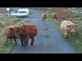 Duncraig, Gairloch & Skye - The Dark Island