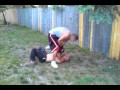 2 round Boxing match goes wrong !! Felony fight type of shit....