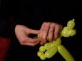 OSO - GLOBOFLEXIA