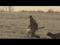 Duck hunting passion