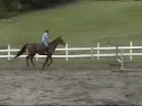 Duece Jump Mountain View Ranch