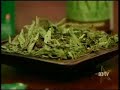 stevia - the new sugar substitute