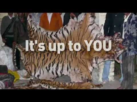 how to help endangered animals