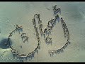عباس ابراهيم خيرك لغيري عود