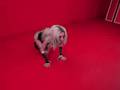 SASHA GRETHER / SINFUL SHOOT