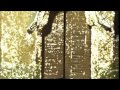 Gegengericht - der durch Zensur geänderte Titel des Clips Gegengewicht - Music on Video 2011