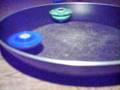 beyblade with black dranzer!!!