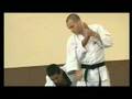 HAPKIDO