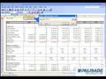 2 Minute Overview of @RISK