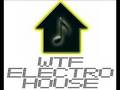Wtf electro house mix