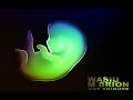 Wasiu M. Brion - Bollywood.wmv