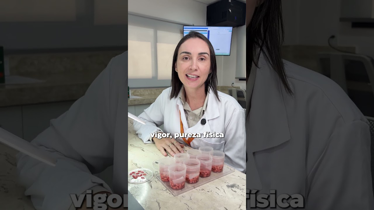 Origem da Qualidade na Conceito Sementes