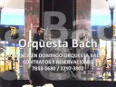 ORQUESTA BACH   NUNCA EN DOMINIGO
