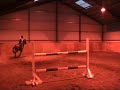 My New Pony, Cecar