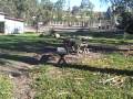 Rancho Santa Fe Farms Horse Property Bank Foreclosure