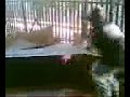 a clip of me at bay