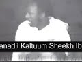 Somali Folklore Dance Group Dancing Dhaanto