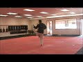 Pinon Shodan