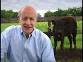 La vaca