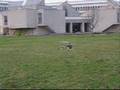 R60-with-BME-90-gas-