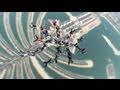 2011 / 2nd Dubai International Parachuting Championship & Gulf Cup 2011 (DIPC & Gulf Cup 2011)
