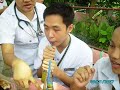 feu bsn908 30 docu ofelia v6utao