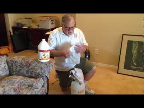 how to remove urine from a carpet