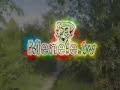 Romek z flacho [Menele.TV]