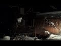 snow shed 2