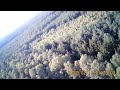 Eldeforst_bei_Prislich02.09.11
