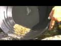 How to Find Gold ! - Recovery Pump
