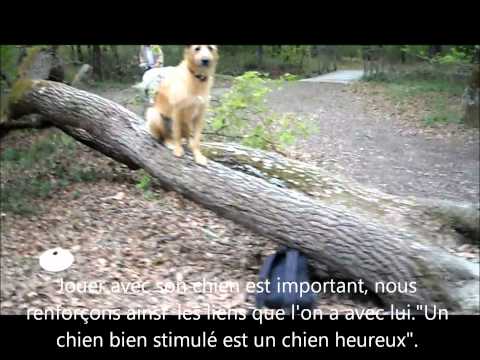 Image de prévisualisation YouTube