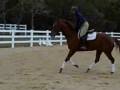 videos de Charlie_3-Nov22,2008.wmv