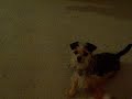 Picture.mov