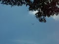 wing 450 ngiyaw88