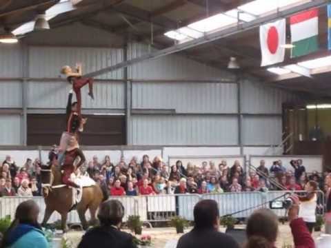 bleyer -