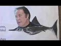 salon.com - david puner, video dog reports  
