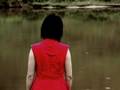 FLUX (2005)