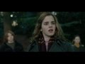 Draco's Secret