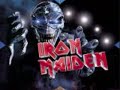 Iron Maiden - Wasted Years Slideshow (w/lyrics)