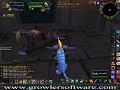 Warcraft Jäger Schurke VS Schamane Schurke Warcraft Jäger Schurke VS Schamane Schurke