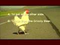 The Chicken
