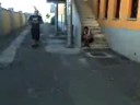 Scherzone a Ezio