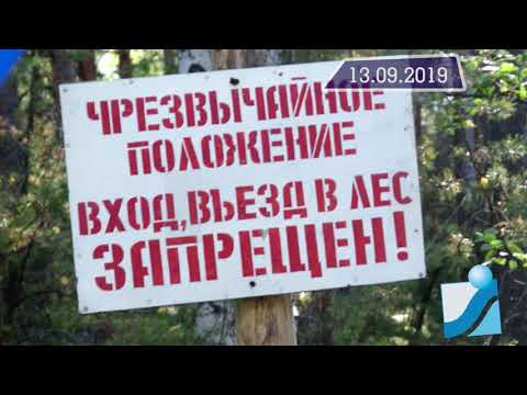 Новостная лента Телеканала Интекс 13.09.19.
