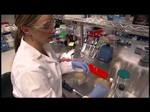 Uncovering Life in the Lab