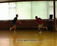 proprioception 55