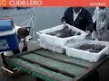 Cudillero