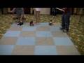 The Great Aibo Race