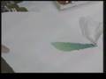 videos de Terry Madden's Watercolor Workshop Correcting Mistakes